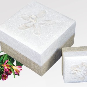 Urna biodegradabile in carta bianca
