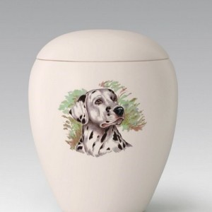 urna ceramica dalmata stilizzato